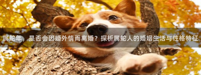 恒行体育网页版入口：属蛇年，是否会因婚外情而离婚？探析属蛇人的婚姻生活与性格特征