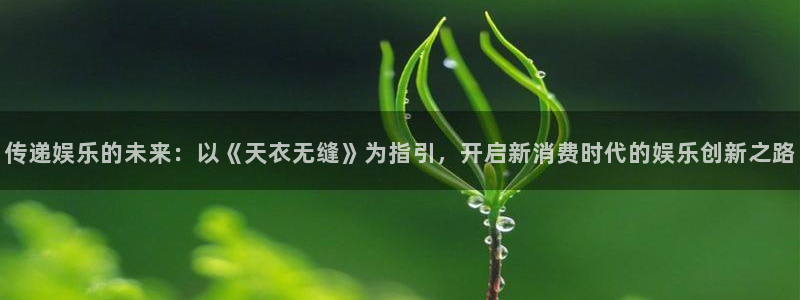 恒行体育2官网入口：传递娱乐的未来：以《天衣无缝》为指引，开启新消费时代的娱乐创