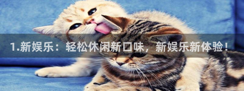 恒行主管：1.新娱乐：轻松休闲新口味，新娱乐新体验！