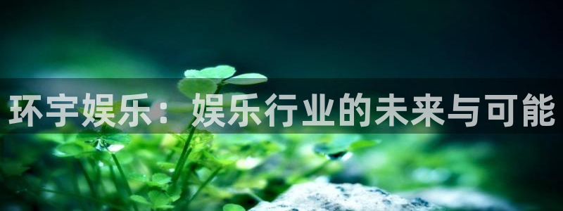 恒行3代理：环宇娱乐：娱乐行业的未来与可能