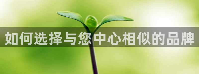 恒行2官网：如何选择与您中心相似的品牌