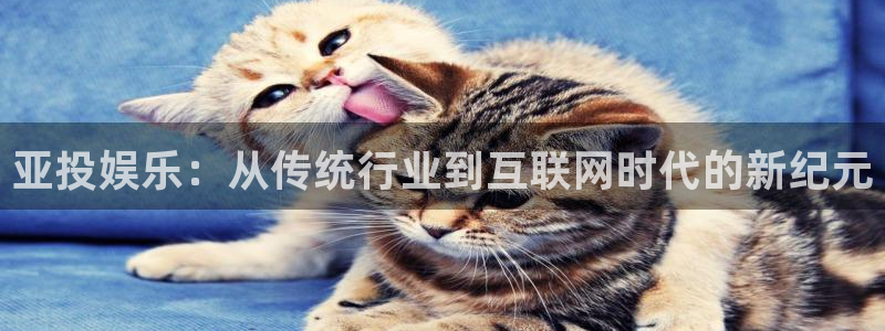 恒行体育平台登录入口：亚投娱乐：从传统行业到互联网时代的新纪元