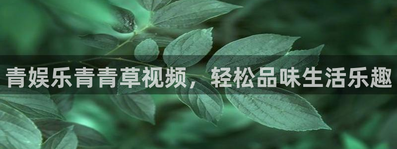 恒行零能源集团：青娱乐青青草视频，轻松品味生活乐趣