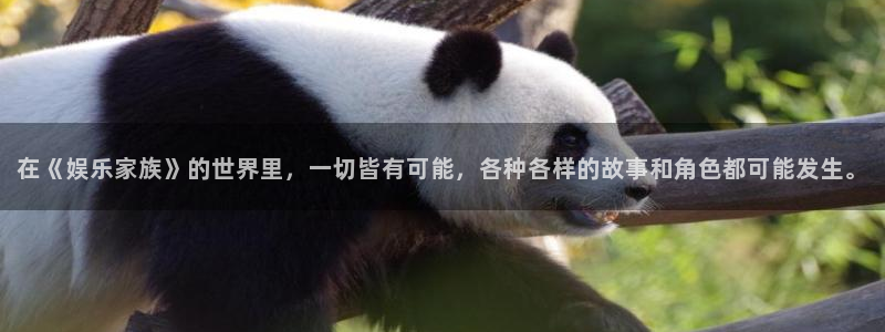 恒行凯捷平台注册链接：在《娱乐家族》的世界里，一切皆有可能，各种各样的故事和角色