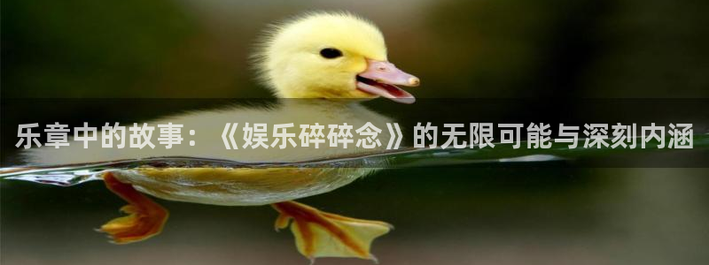 上海恒行汽车电子有限公司