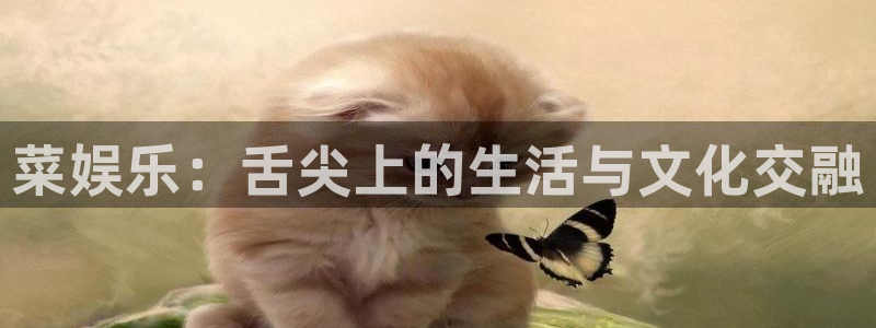 上海恒行汽车电子有限公司：菜娱乐：舌尖上的生活与文化交融