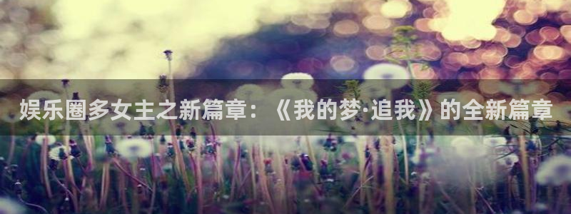 恒行平台主管：娱乐圈多女主之新篇章：《我的梦·追我》的全新篇章