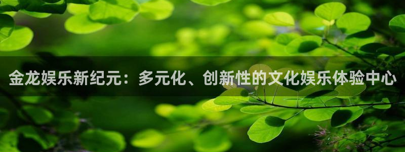 恒行4登录：金龙娱乐新纪元：多元化、创新性的文化娱乐体验中心