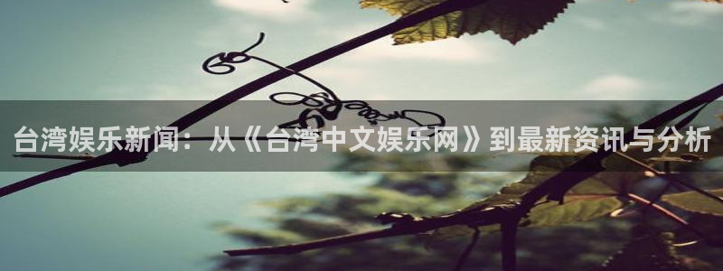恒行登录界面入口：台湾娱乐新闻：从《台湾中文娱乐网》到最新资讯与分析