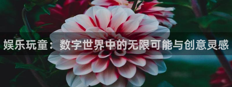 恒行注册：娱乐玩童：数字世界中的无限可能与创意灵感