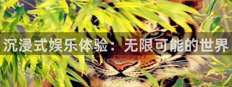 德国恒行集团：沉浸式娱乐体验：无限可能的世界