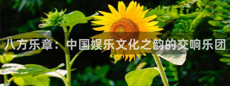 恒行体育2官网入口：八方乐章：中国娱乐文化之韵的交响乐团