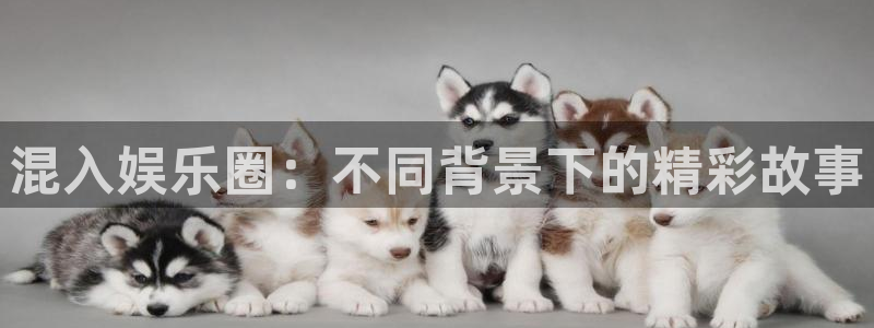 恒行体育f开号：混入娱乐圈：不同背景下的精彩故事