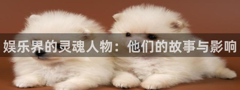 恒行体育合法嘛：娱乐界的灵魂人物：他们的故事与影响