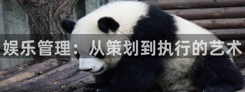 恒行体育在线注册：娱乐管理：从策划到执行的艺术