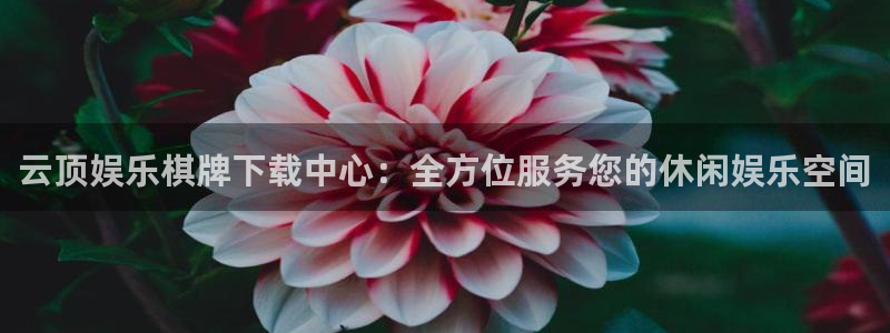 恒行体育2：云顶娱乐棋牌下载中心：全方位服务您的休闲娱乐空间