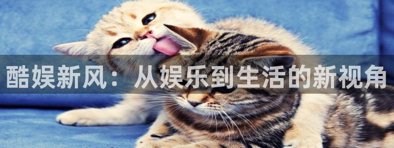 恒行体育游戏：酷娱新风：从娱乐到生活的新视角