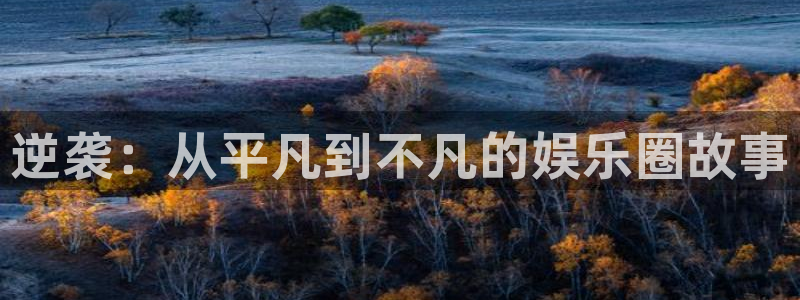 恒行体育f开户：逆袭：从平凡到不凡的娱乐圈故事