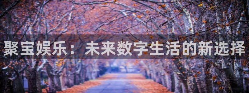 恒行2登录地址：聚宝娱乐：未来数字生活的新选择